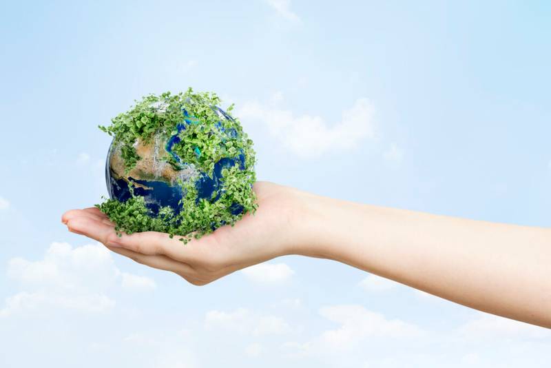 NativState celebra seu terceiro projeto de créditos de carbono florestal verificado com sucesso