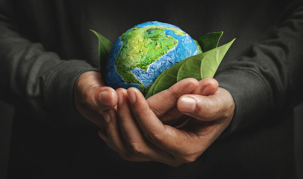 Alavancagem legal e digital abre caminho para um mercado de carbono sustentável