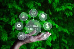 fortalecimento da África em sistemas globais emergentes de comércio de baixo carbono.