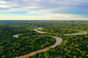Floresta Amazônica