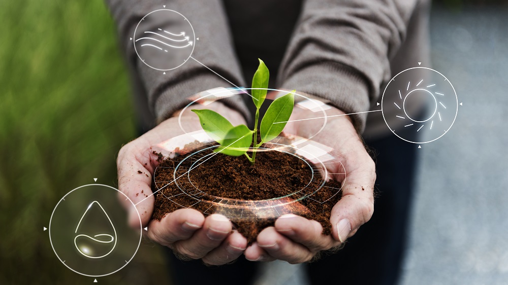 O mercado global de créditos de carbono deve crescer muito nos próximos anos